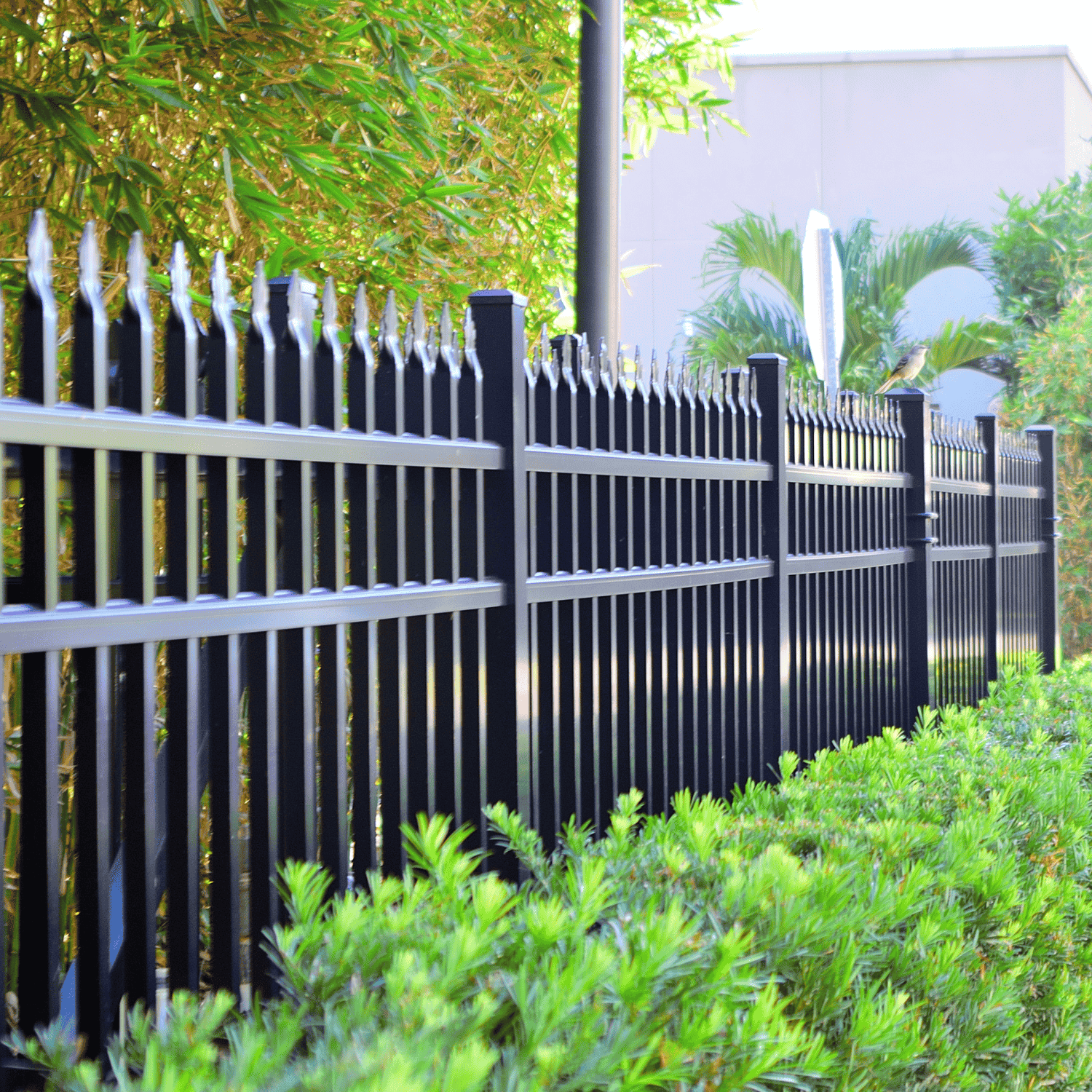 pro active fencing